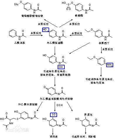 (zhn)ʹˎĻW(xu)Y(ji)(gu)