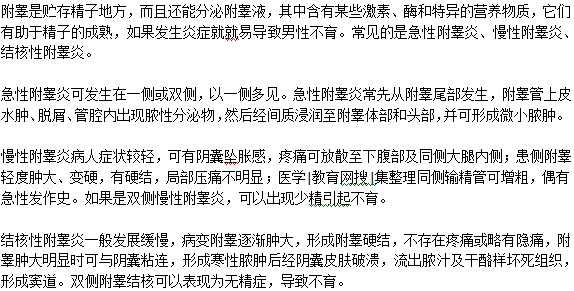 附睪炎會不會影響以后生孩子