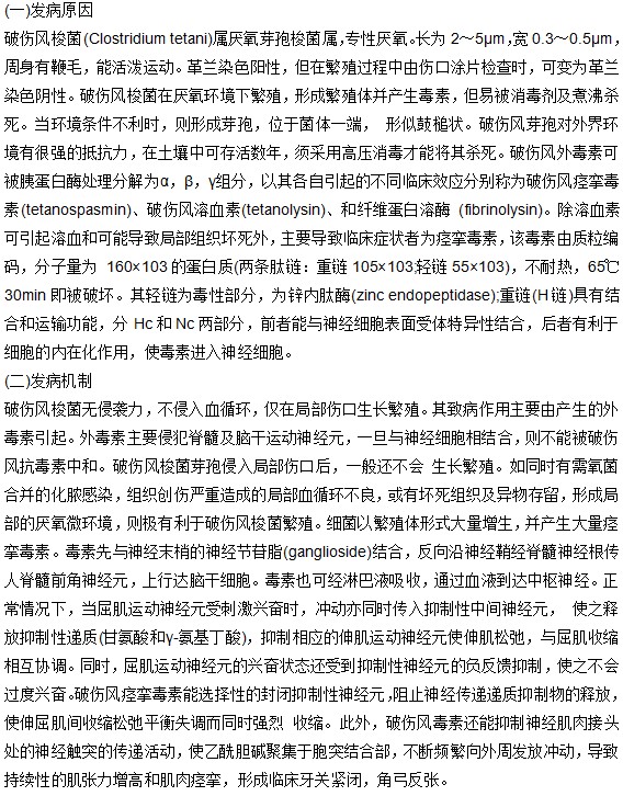 破傷風(fēng)的發(fā)病原理與發(fā)病機(jī)制是什么？