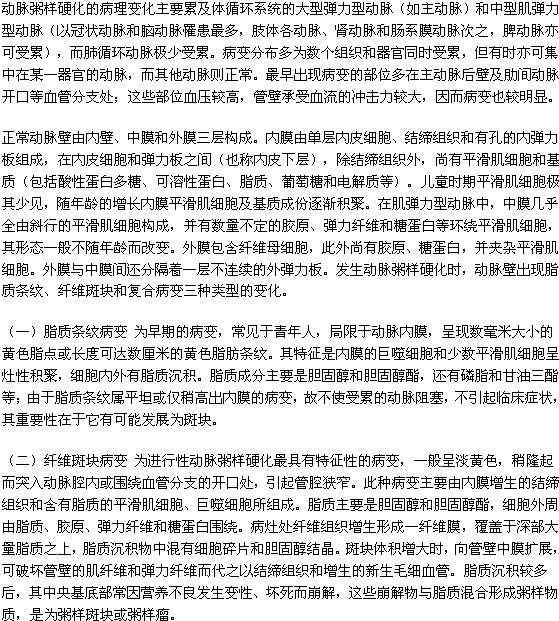 動脈硬化