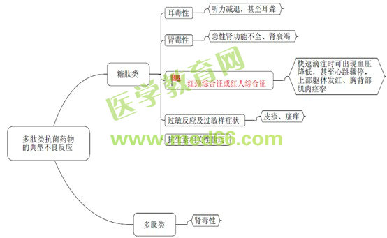 執(zhí)業(yè)藥師知識點(diǎn)
