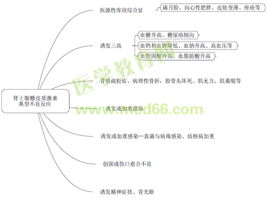 執(zhí)業(yè)藥師《藥學(xué)專業(yè)知識二》