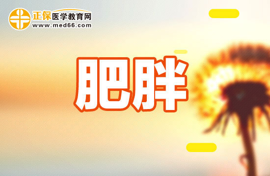 肥胖患者怎么吃？
