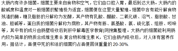 大腸內(nèi)細(xì)菌活動(dòng)的規(guī)律