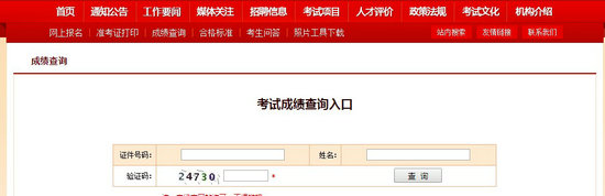 執(zhí)業(yè)藥師分?jǐn)?shù)查詢(xún)?nèi)肟? width=
