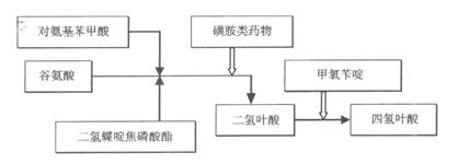 磺胺類藥物作化學過程