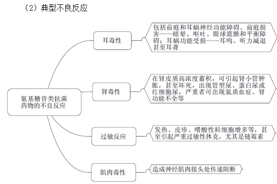氨基糖苷類抗菌藥物作用機(jī)制及特點