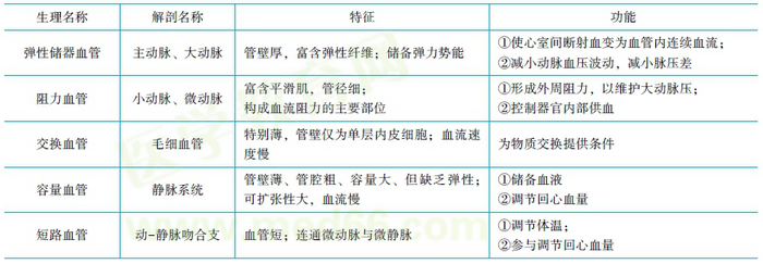 各類血管的功能特征