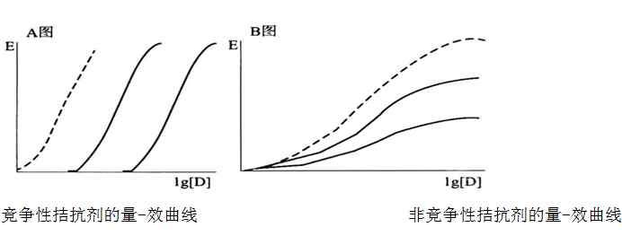 分類 親和力 內在活性 特點 
