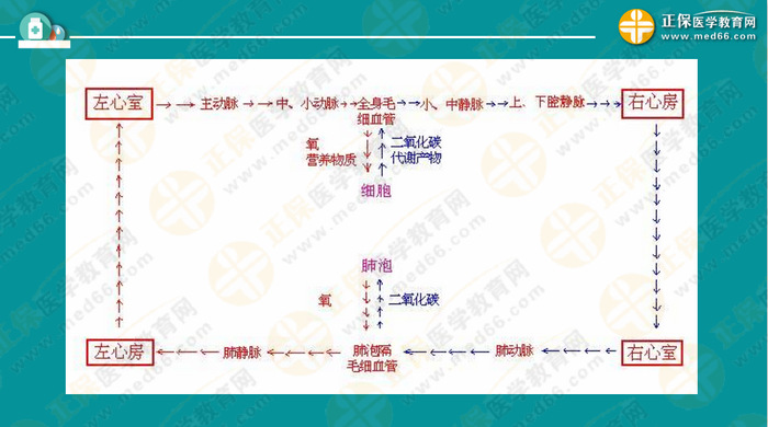 醫(yī)療衛(wèi)生考試筆試備考指導(dǎo)來了，共計(jì)2863頁書！怎么學(xué)？