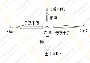 專業(yè)師資帶你學(xué)（五）：執(zhí)業(yè)藥師《中藥綜》五行學(xué)說！學(xué)習(xí)要有方法！