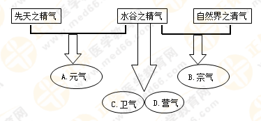 專業(yè)師資帶你學(xué)（八）：執(zhí)業(yè)藥師《中藥綜》生命活動(dòng)的基本物質(zhì)！善用圖解！