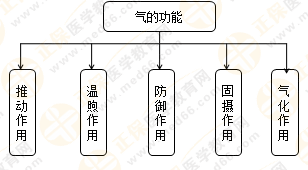 專業(yè)師資帶你學(xué)（八）：執(zhí)業(yè)藥師《中藥綜》生命活動(dòng)的基本物質(zhì)！善用圖解！