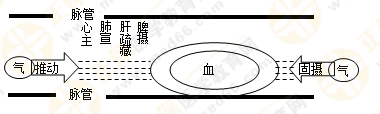 專業(yè)師資帶你學(xué)（八）：執(zhí)業(yè)藥師《中藥綜》生命活動(dòng)的基本物質(zhì)！善用圖解！