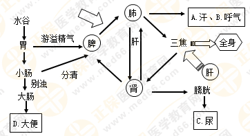 專業(yè)師資帶你學(xué)（八）：執(zhí)業(yè)藥師《中藥綜》生命活動(dòng)的基本物質(zhì)！善用圖解！