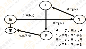 專業(yè)師資帶你學(xué)（九）：執(zhí)業(yè)藥師《中藥綜》經(jīng)絡(luò)與經(jīng)絡(luò)系統(tǒng)！5圖2表！