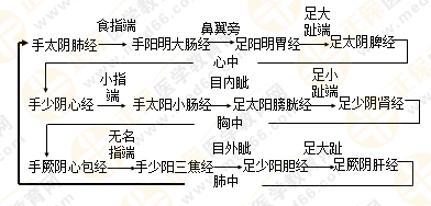 專業(yè)師資帶你學(xué)（九）：執(zhí)業(yè)藥師《中藥綜》經(jīng)絡(luò)與經(jīng)絡(luò)系統(tǒng)！5圖2表！