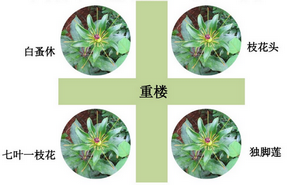 “神藥”的招牌一朝被毀！你對(duì)這個(gè)執(zhí)業(yè)藥師?？妓幜私舛嗌伲?！