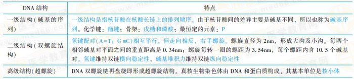 DNA各級(jí)結(jié)構(gòu)的特點(diǎn)