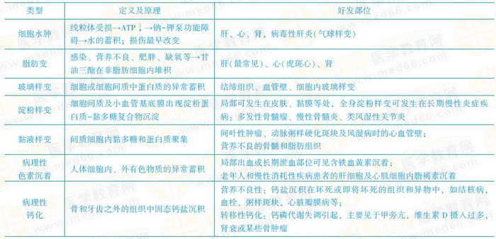 可逆性損傷的?？键c 