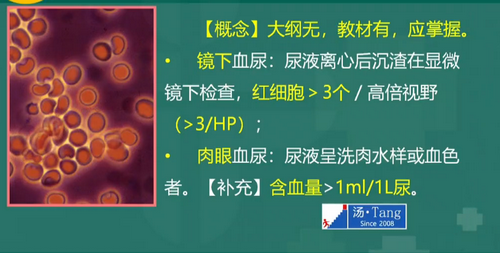 湯以恒2019臨床執(zhí)業(yè)醫(yī)師泌尿系統(tǒng)科目免費(fèi)視頻課更新！