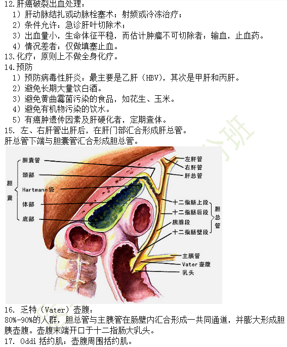 30個有關(guān)肝炎、膽囊炎相關(guān)考點匯總-臨床執(zhí)業(yè)醫(yī)師消化系統(tǒng)第九期！