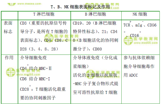 T、B、NK細(xì)胞表面標(biāo)記及作用