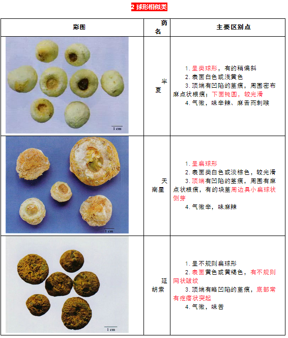 每日沖刺計(jì)劃！2019執(zhí)業(yè)藥師《中藥學(xué)專業(yè)知識(shí)二》第一篇！