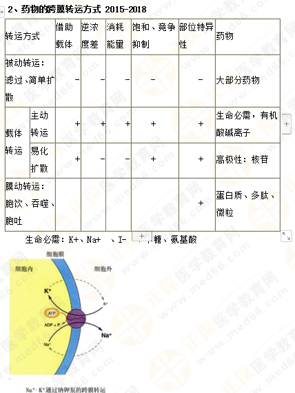 2019年執(zhí)業(yè)藥師《藥一》的藥劑學(xué)，15分鐘經(jīng)典回顧！