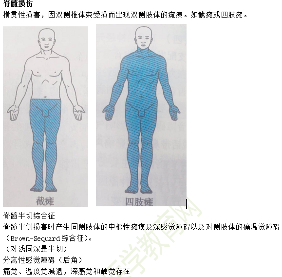 臨床助理醫(yī)師考點