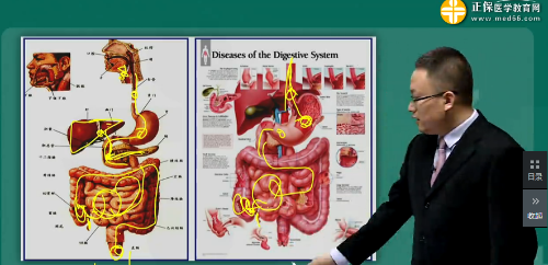 【視頻】2019年臨床執(zhí)業(yè)醫(yī)師消化系統(tǒng)科目特點及復習建議