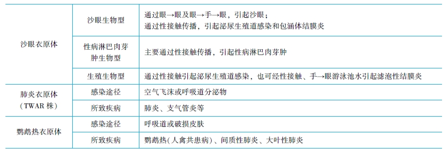 主要病原性衣原體