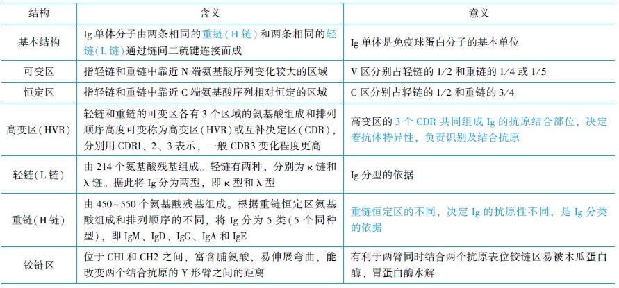 免疫球蛋白的結構和功能