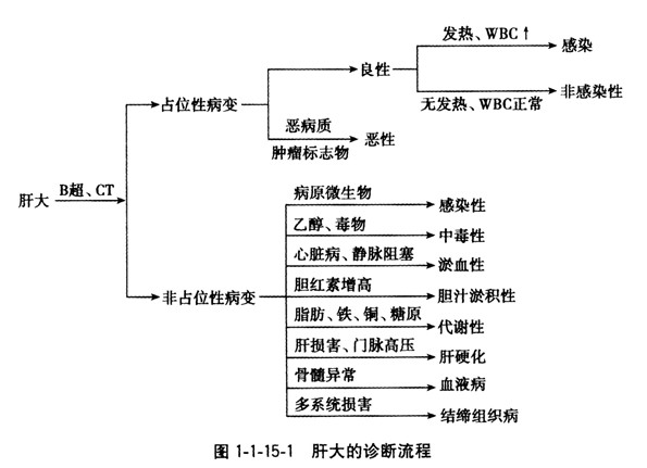 肝大常見(jiàn)疾病的鑒別診斷