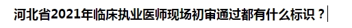河北省2021年臨床執(zhí)業(yè)醫(yī)師現(xiàn)場(chǎng)初審?fù)ㄟ^(guò)都有什么標(biāo)識(shí)？