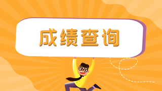 衛(wèi)生中級(jí)理化檢驗(yàn)職稱成績(jī)查詢2021入口及時(shí)間是？