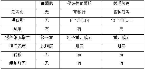 絨癌、侵蝕性葡萄胎、葡萄胎的鑒別