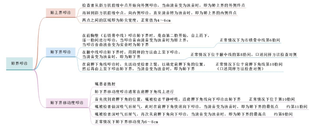 體格檢查——肺界叩診、肺下界移動度叩診