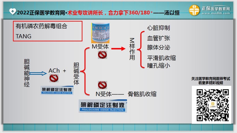 臨床醫(yī)師基礎(chǔ)測試14-延伸1