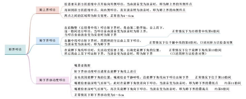 體格檢查——肺界叩診、肺下界移動度叩診