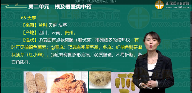 天麻的鑒別要點(diǎn)是