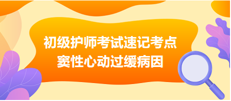 2024初級(jí)護(hù)師考試速記考點(diǎn)：竇性心動(dòng)過緩病因