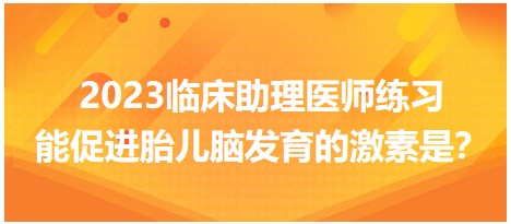 2023臨床助理醫(yī)師練習(xí)-促進(jìn)胎兒腦發(fā)育的激素是？