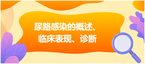 尿路感染的概述、臨床表現(xiàn)、診斷