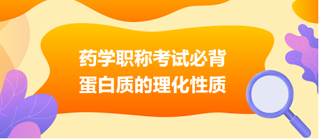 2024藥學(xué)職稱考試必背：蛋白質(zhì)的理化性質(zhì)