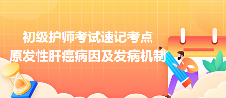 原發(fā)性肝癌病因及發(fā)病機制-2024