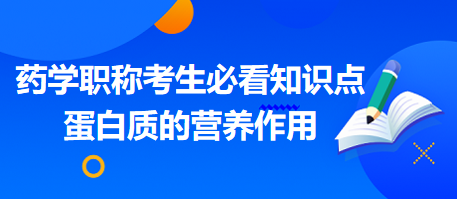 2024藥學(xué)職稱考生必看知識點：蛋白質(zhì)的營養(yǎng)作用