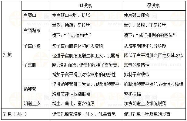 雌孕激素對(duì)附性器官的作用