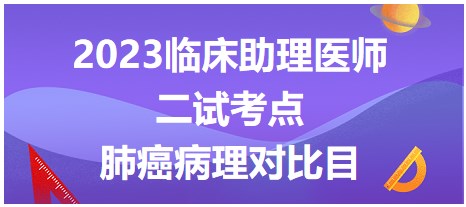 肺癌病理對(duì)比目