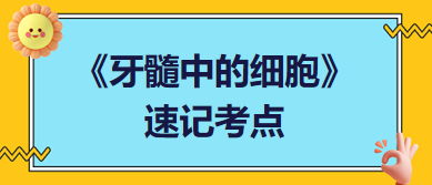 《牙髓中的細(xì)胞》速記考點(diǎn)